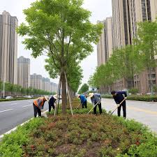 贝博中国 望湖公园城市绿化带建设